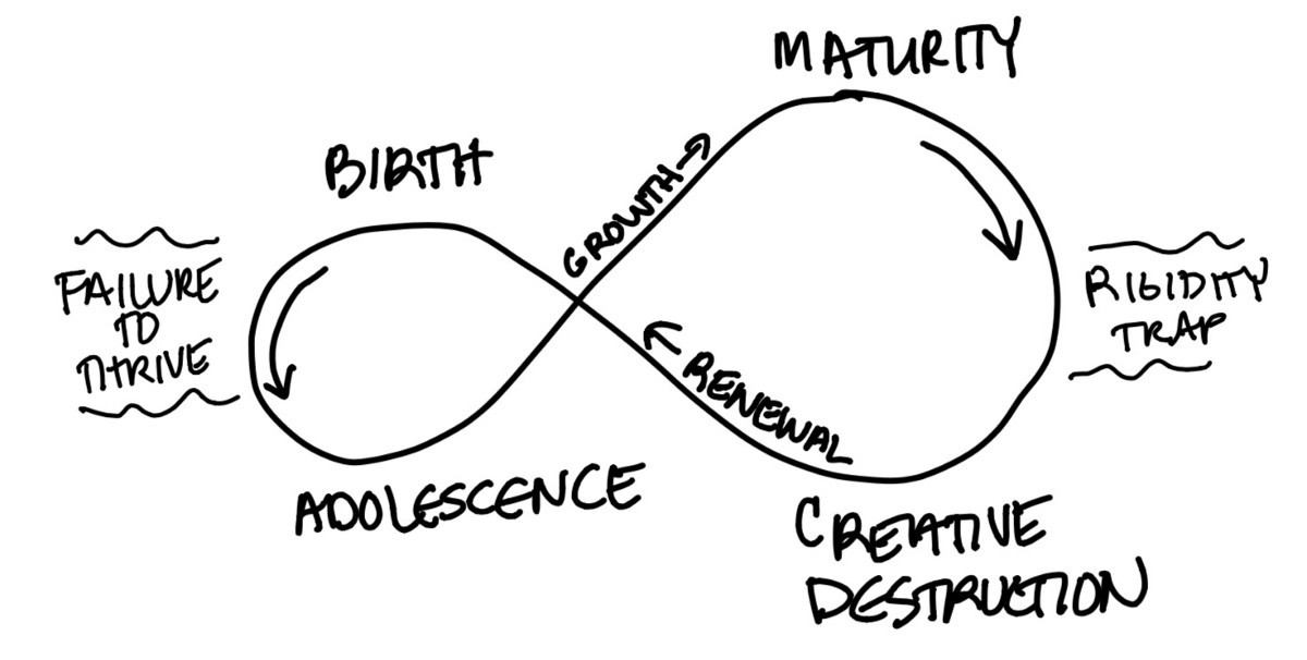 Il ciclo di dynamic reteaming